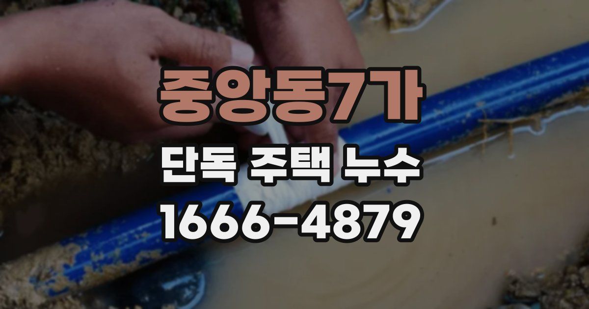 중앙동7가 단독 주택 누수