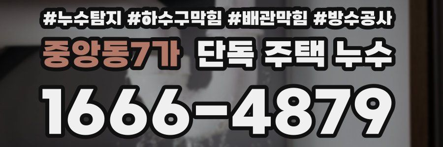 중앙동7가 단독 주택 누수