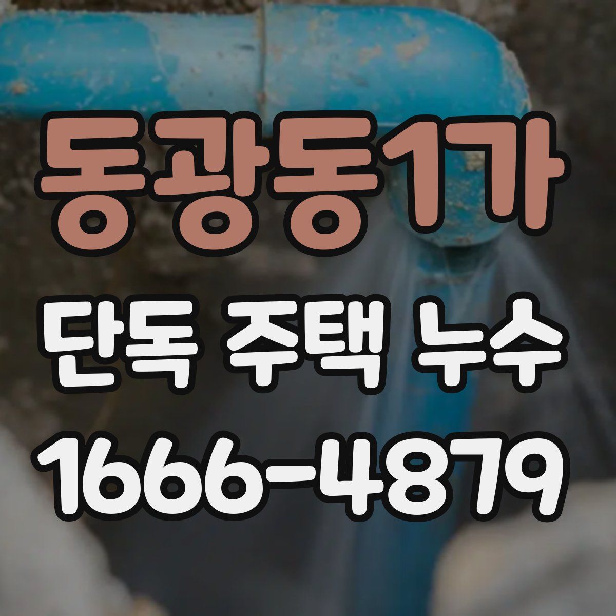 동광동1가 단독 주택 누수