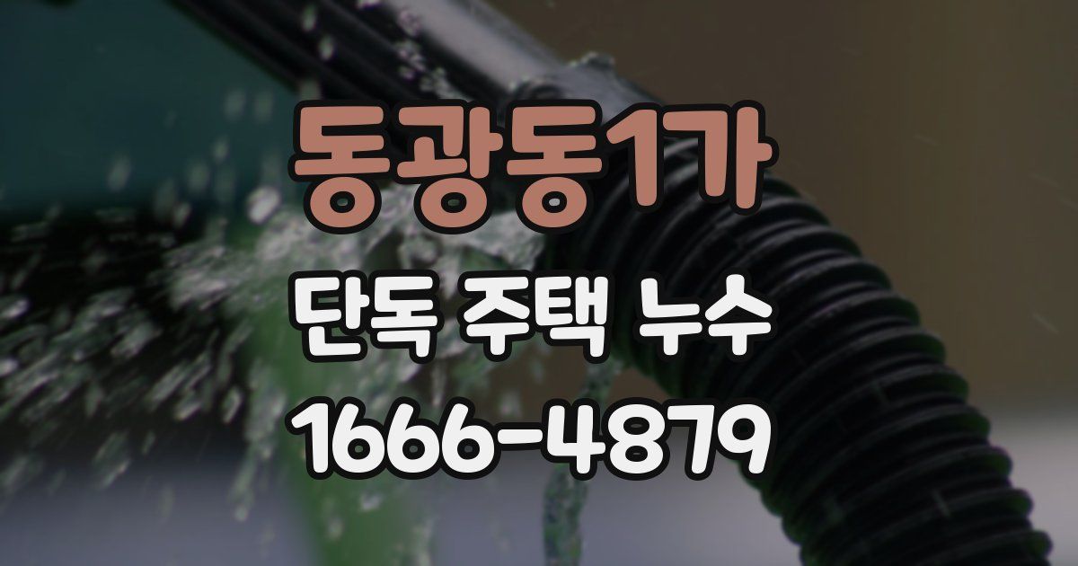 동광동1가 단독 주택 누수