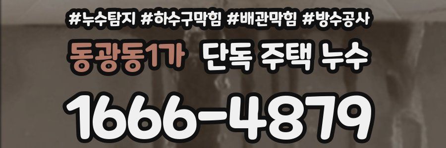 동광동1가 단독 주택 누수
