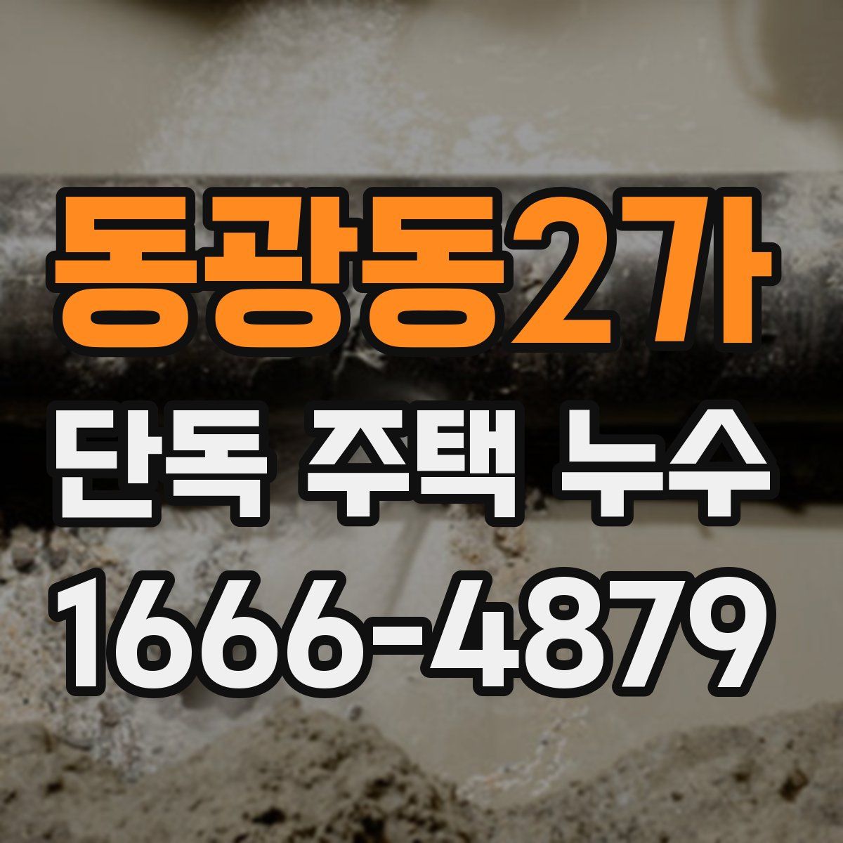 동광동2가 단독 주택 누수