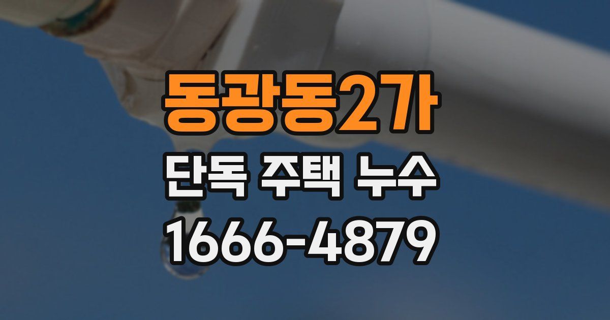 동광동2가 단독 주택 누수