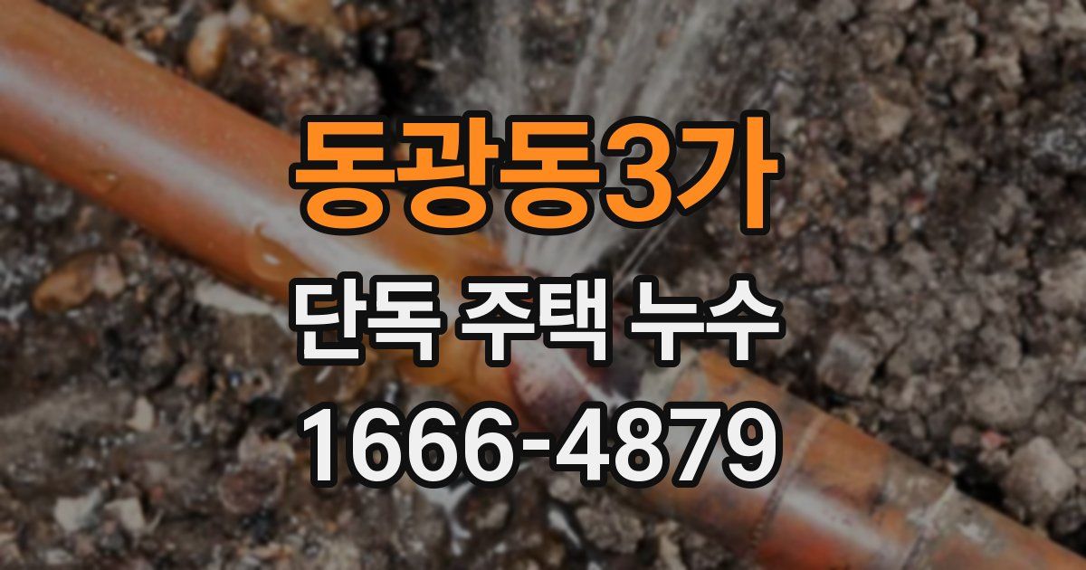 동광동3가 단독 주택 누수