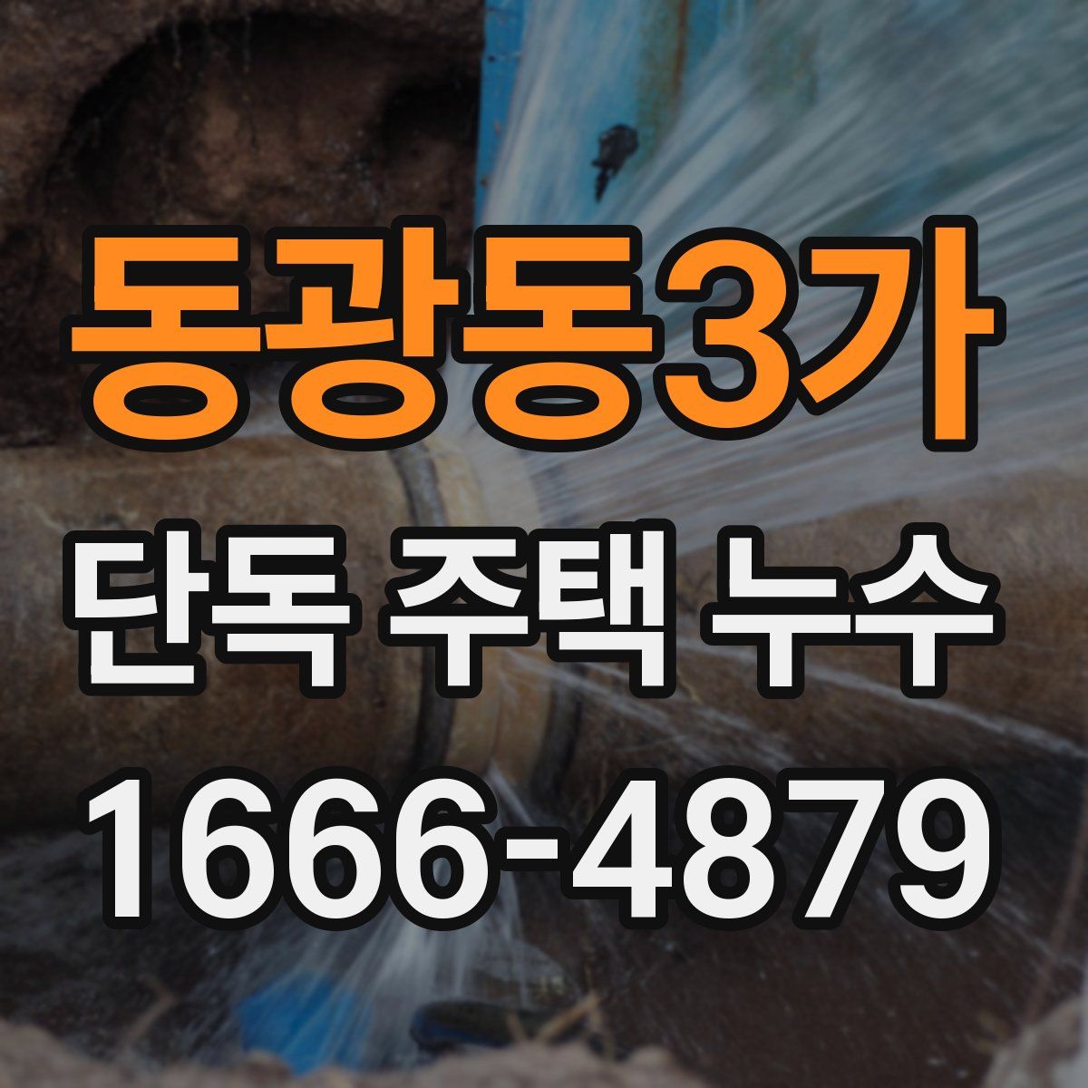 동광동3가 단독 주택 누수