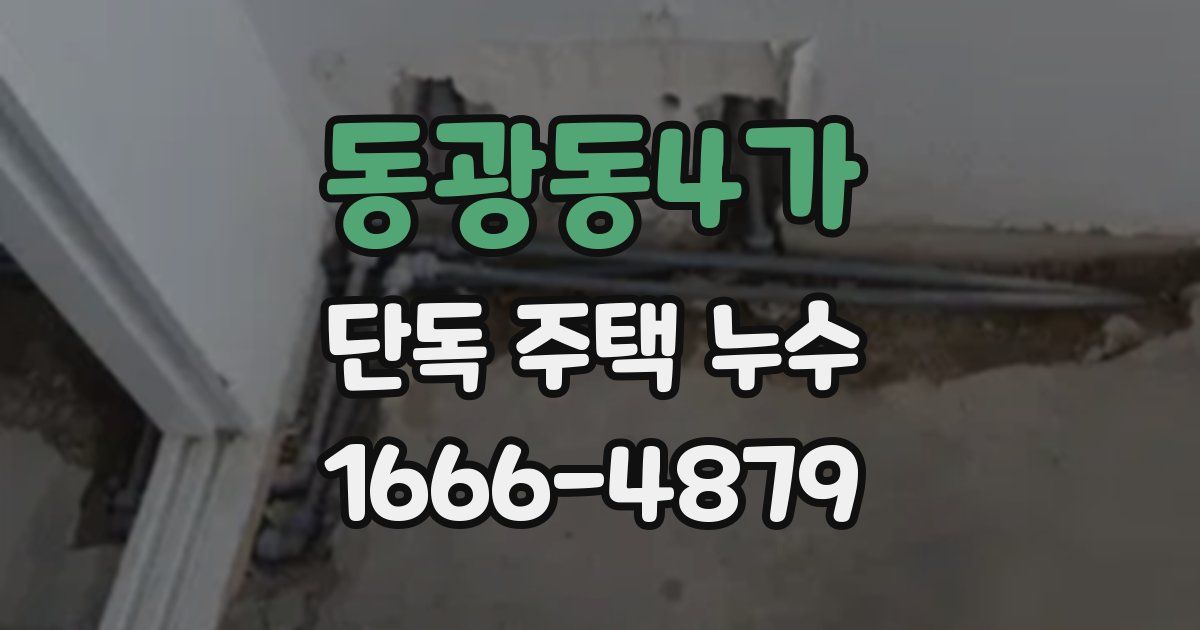 동광동4가 단독 주택 누수