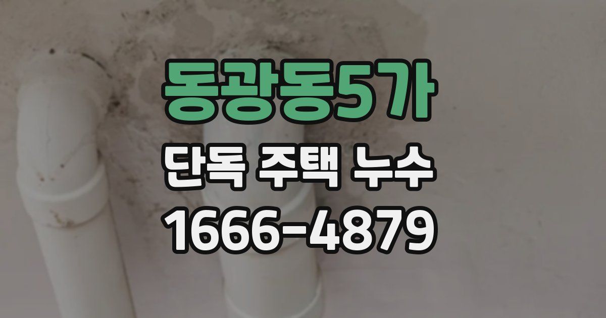 동광동5가 단독 주택 누수