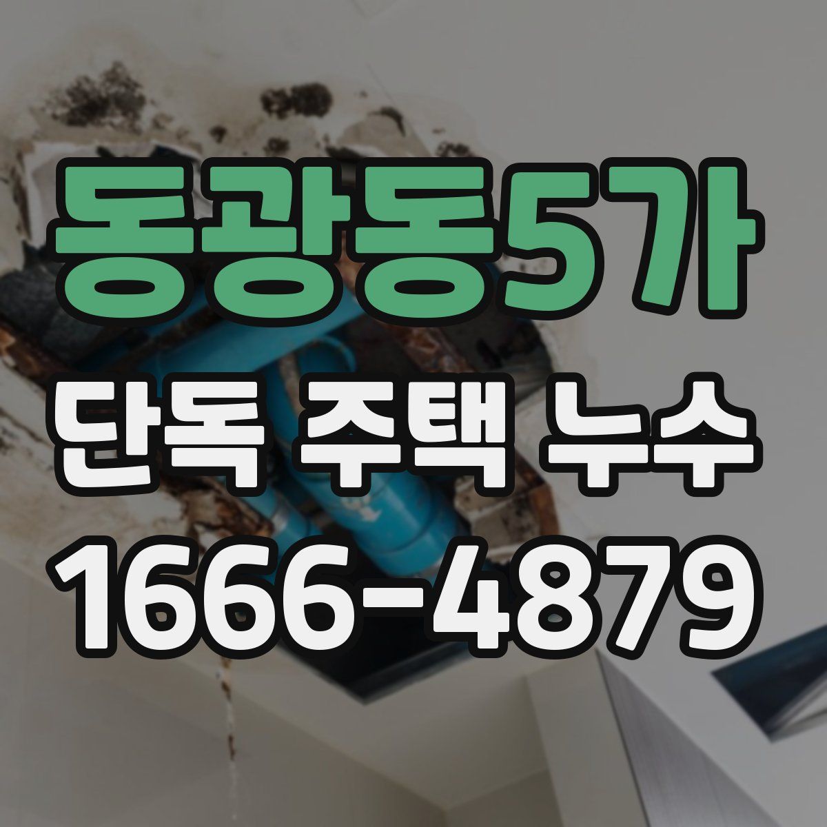 동광동5가 단독 주택 누수