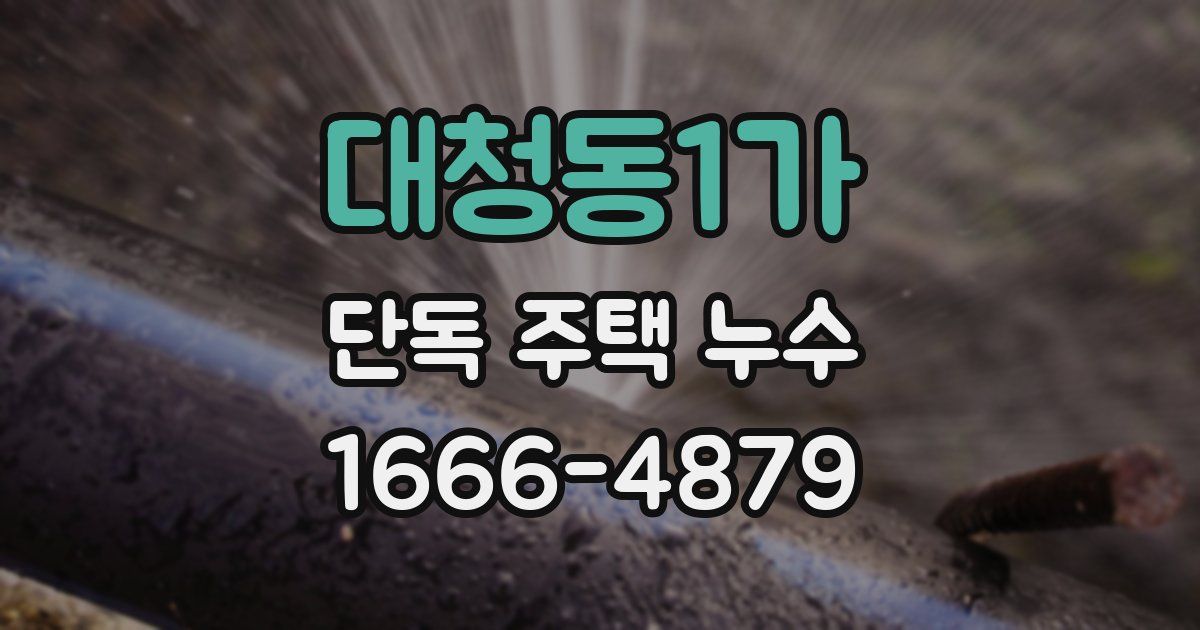 대청동1가 단독 주택 누수