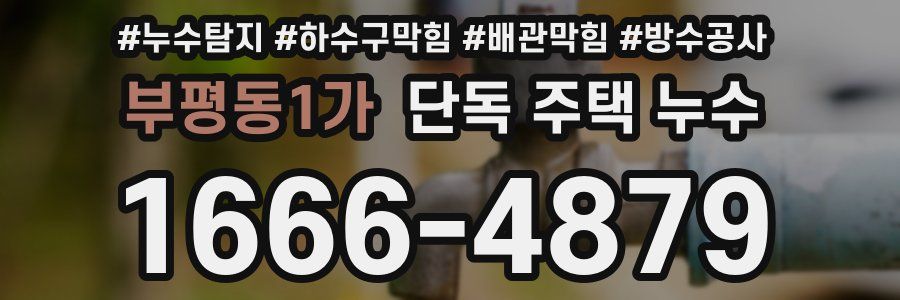 부평동1가 단독 주택 누수
