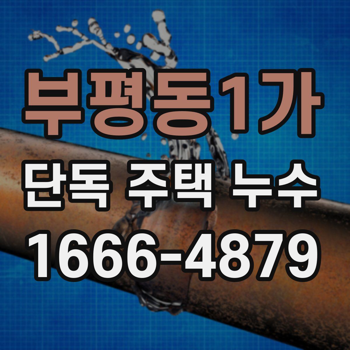부평동1가 단독 주택 누수