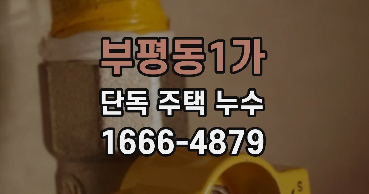 부평동1가 단독 주택 누수