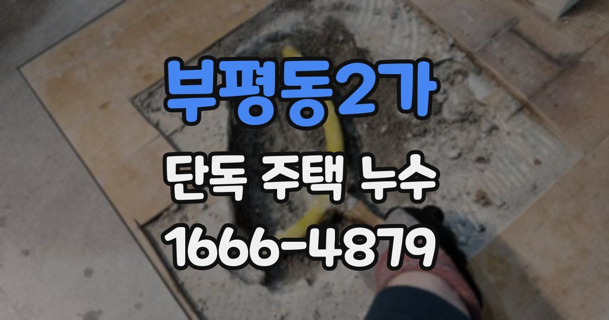 부평동2가 단독 주택 누수