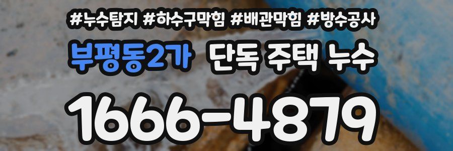 부평동2가 단독 주택 누수