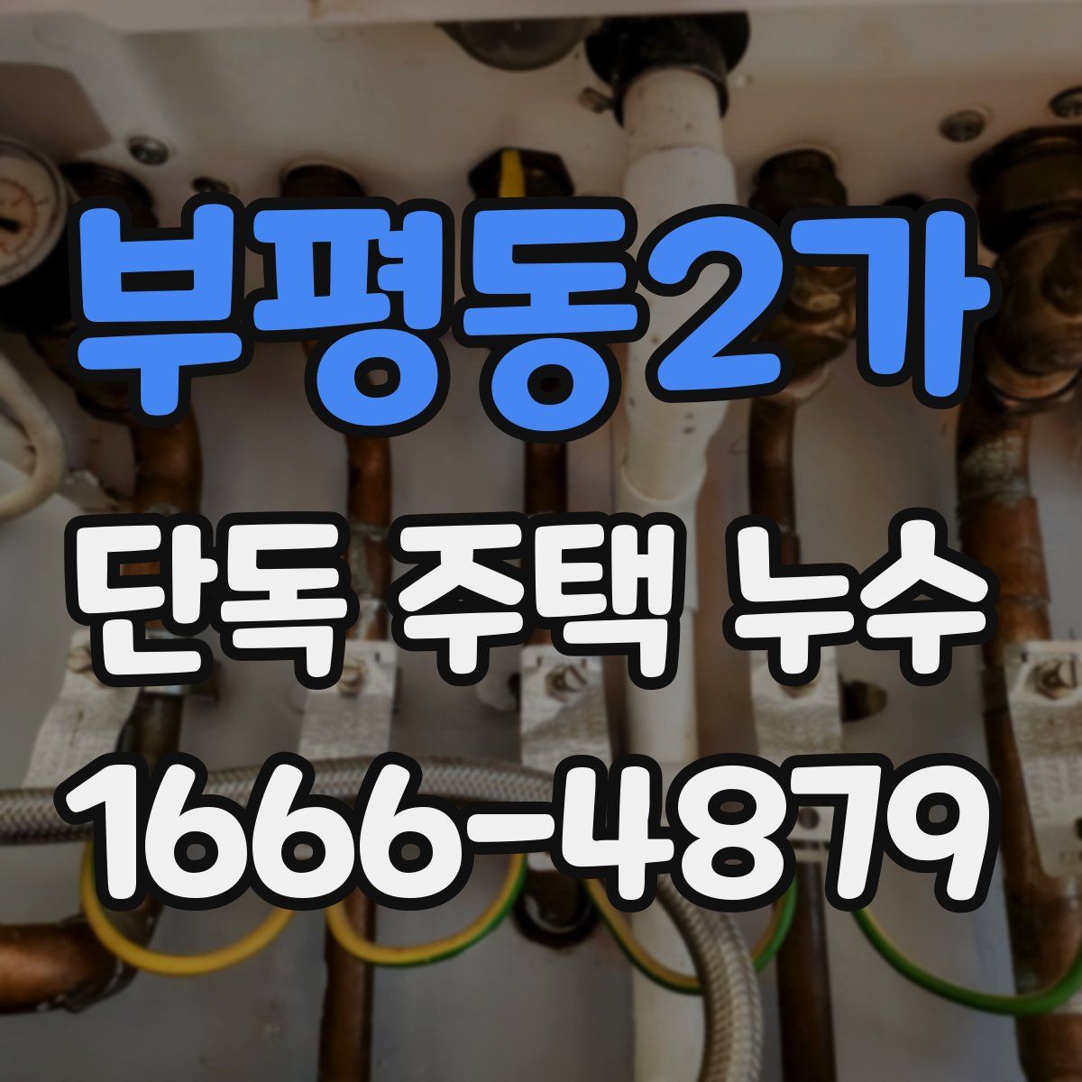 부평동2가 단독 주택 누수