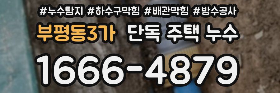 부평동3가 단독 주택 누수