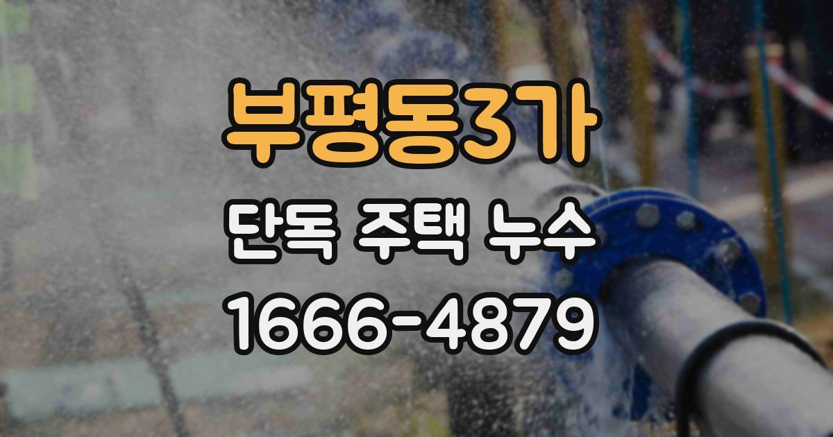 부평동3가 단독 주택 누수