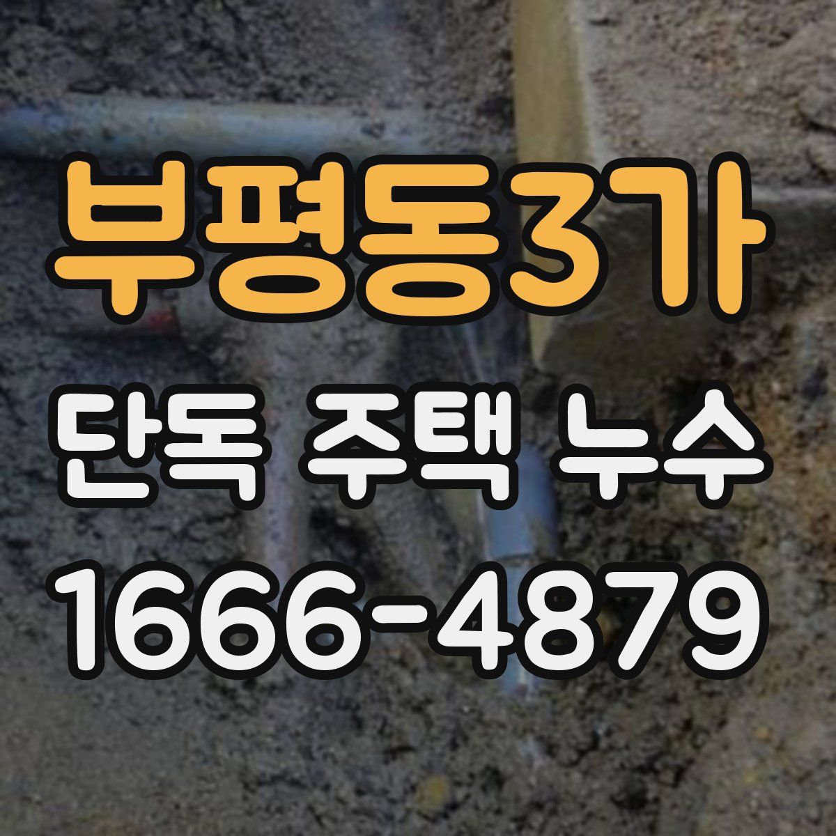 부평동3가 단독 주택 누수