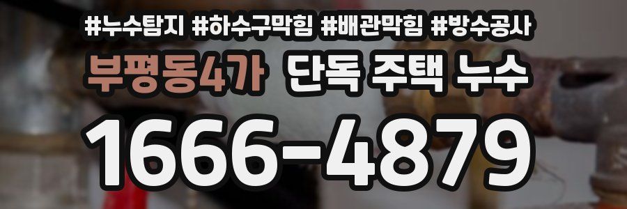 부평동4가 단독 주택 누수