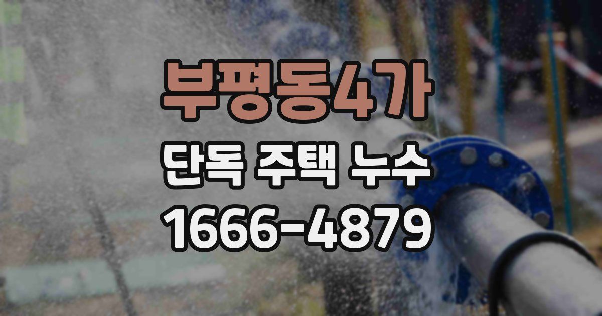 부평동4가 단독 주택 누수