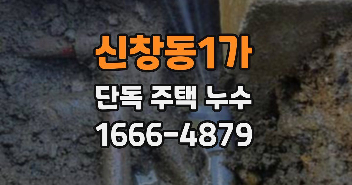 신창동1가 단독 주택 누수