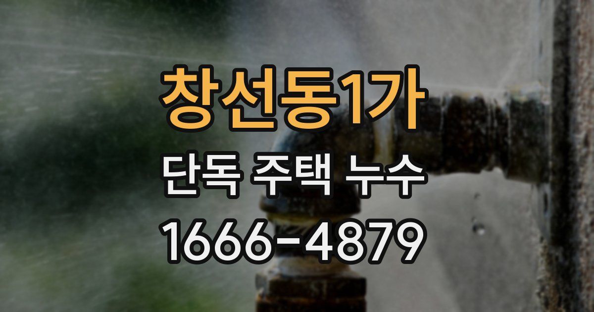 창선동1가 단독 주택 누수