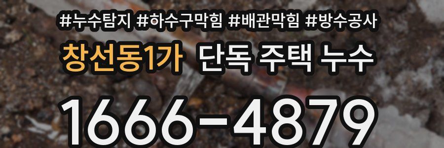 창선동1가 단독 주택 누수