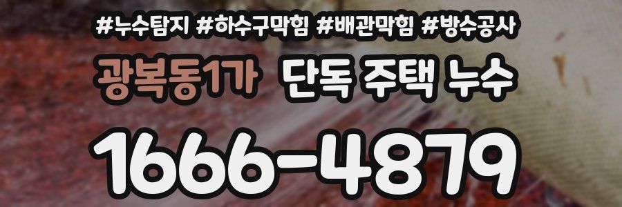 광복동1가 단독 주택 누수