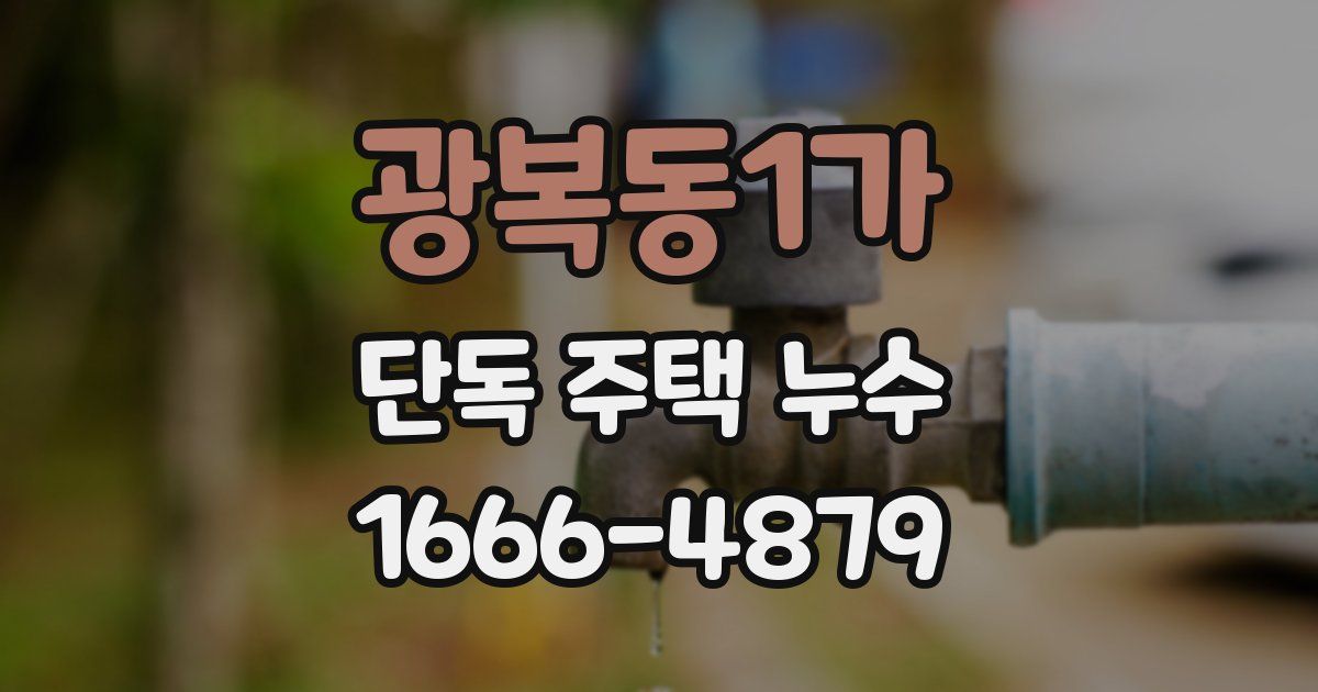 광복동1가 단독 주택 누수