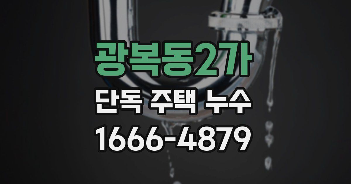 광복동2가 단독 주택 누수