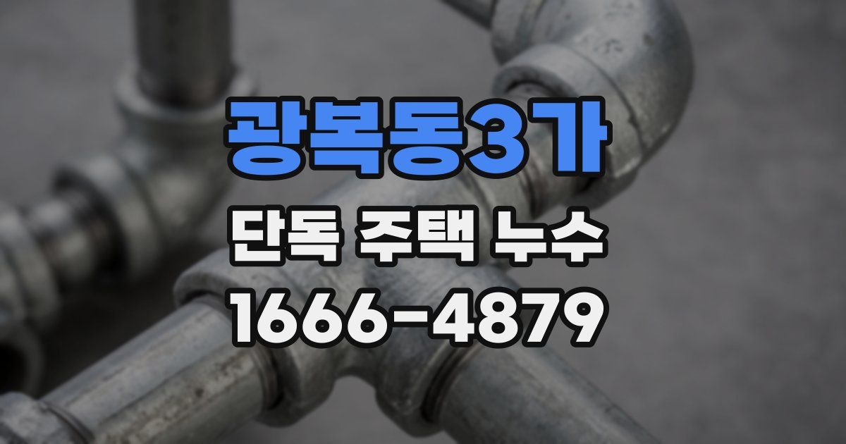 광복동3가 단독 주택 누수