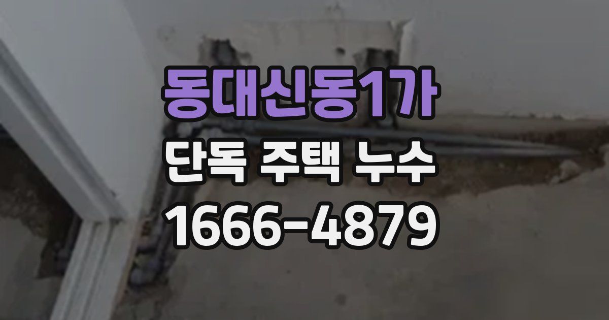 동대신동1가 단독 주택 누수