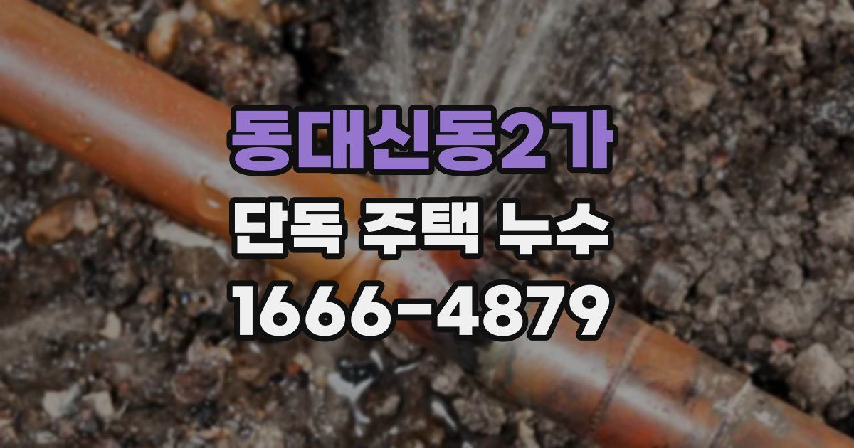 동대신동2가 단독 주택 누수