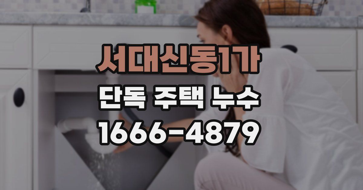 서대신동1가 단독 주택 누수
