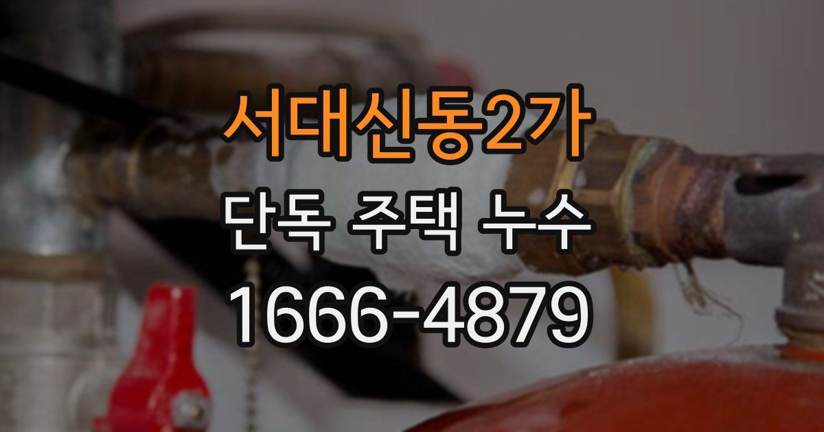 서대신동2가 단독 주택 누수