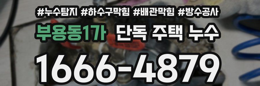부용동1가 단독 주택 누수