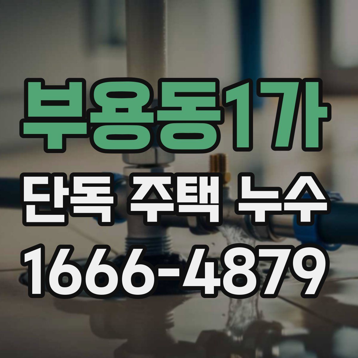 부용동1가 단독 주택 누수