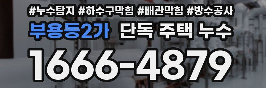 부용동2가 단독 주택 누수