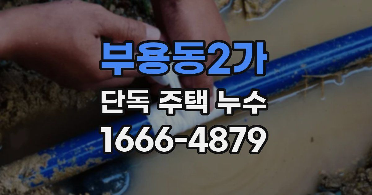 부용동2가 단독 주택 누수