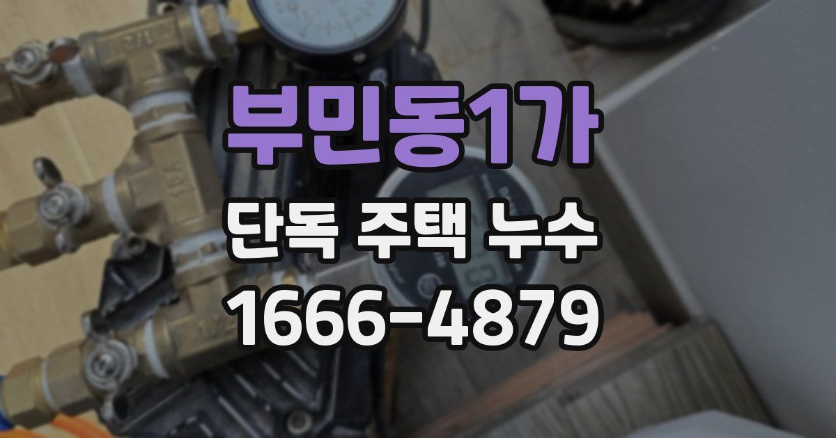 부민동1가 단독 주택 누수