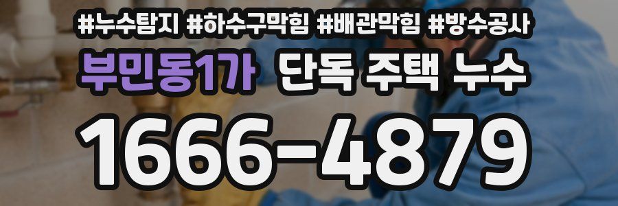 부민동1가 단독 주택 누수