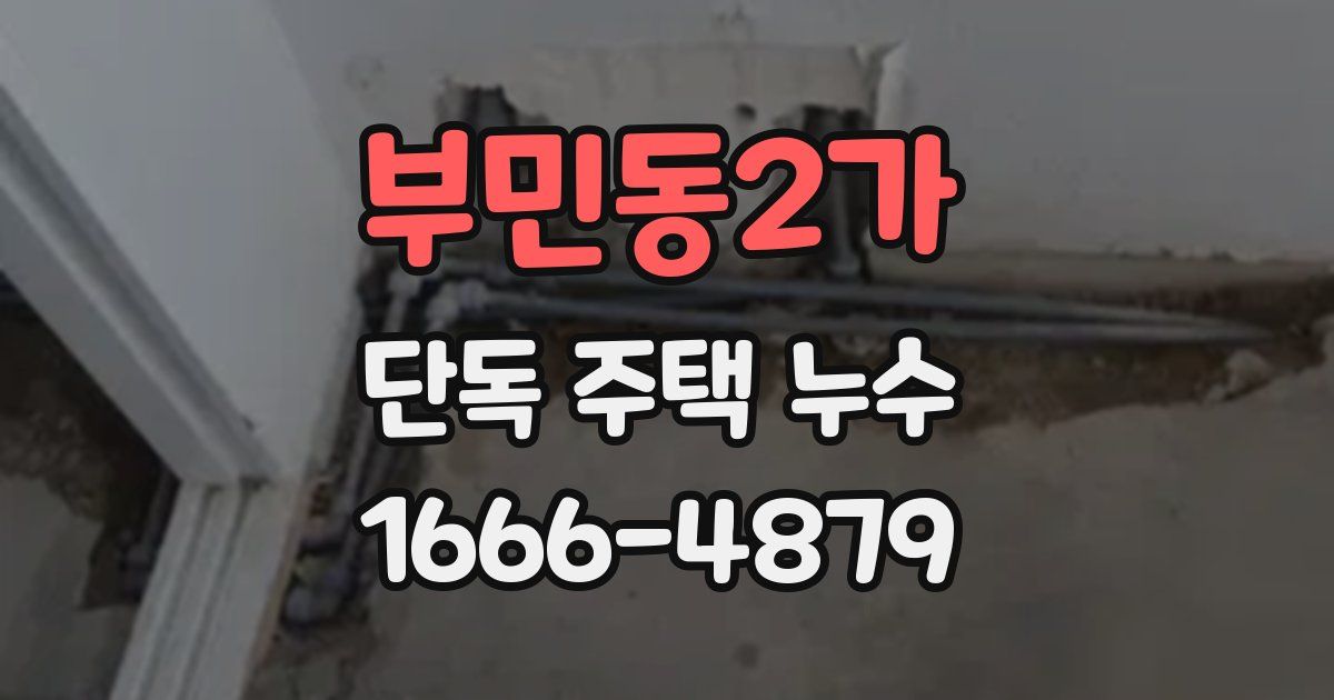 부민동2가 단독 주택 누수