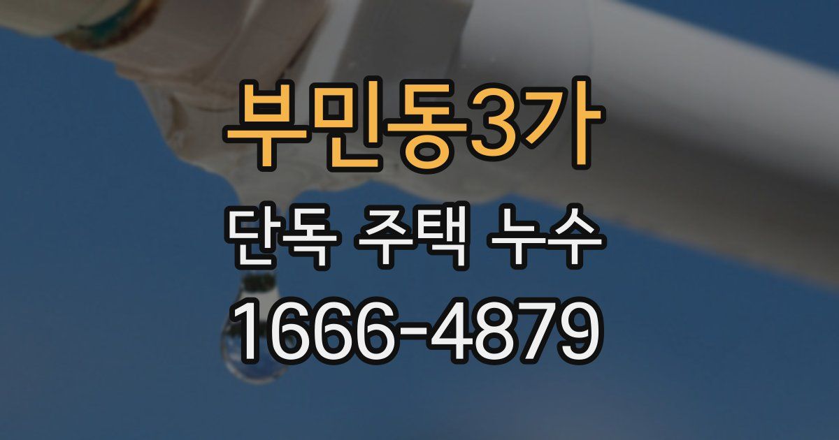부민동3가 단독 주택 누수