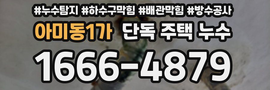 아미동1가 단독 주택 누수