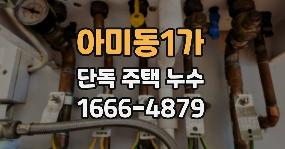 아미동1가 단독 주택 누수