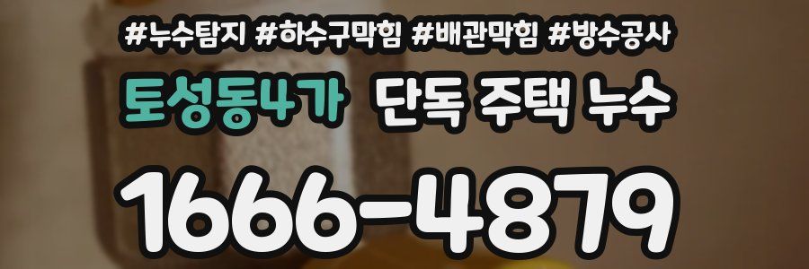 토성동4가 단독 주택 누수