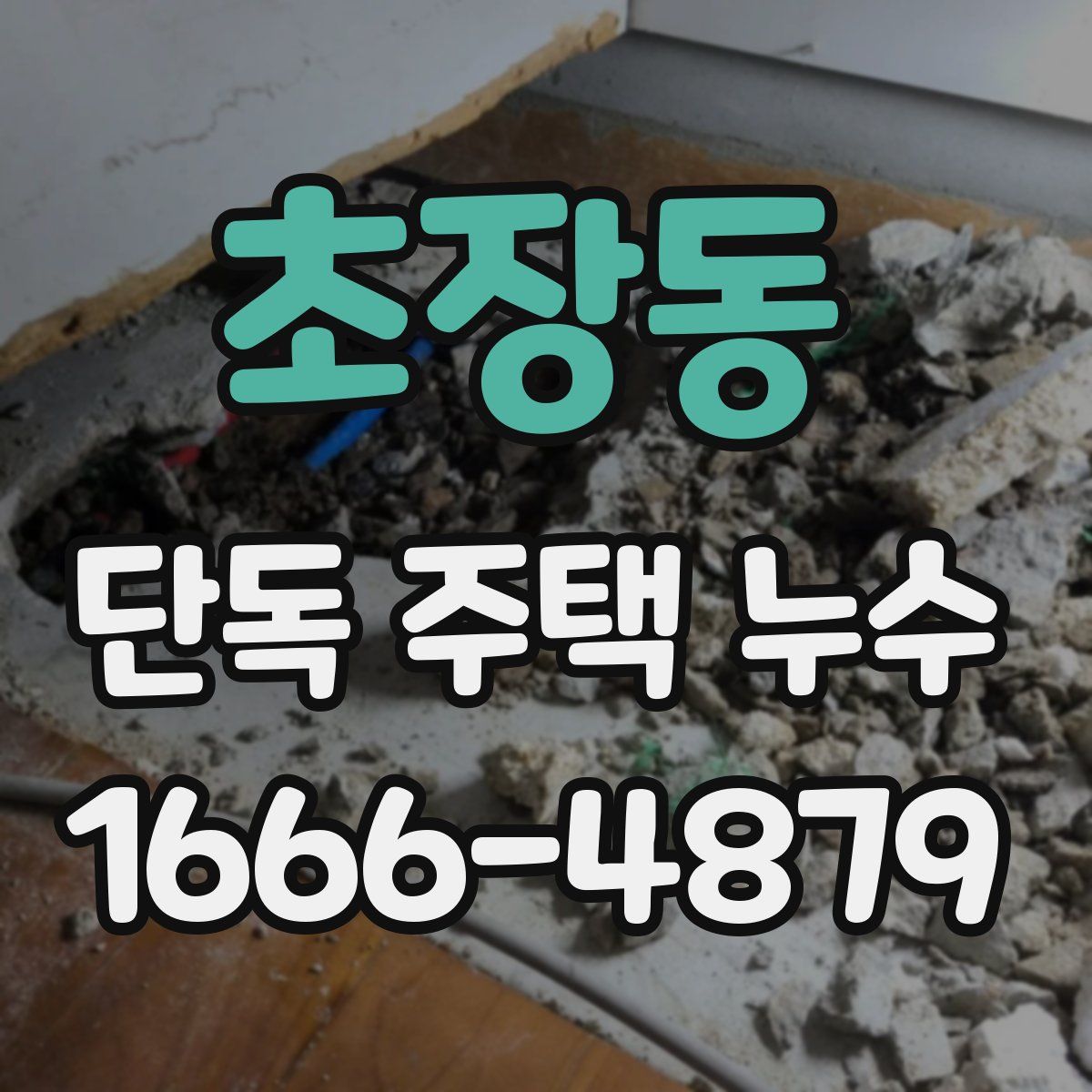 초장동 단독 주택 누수