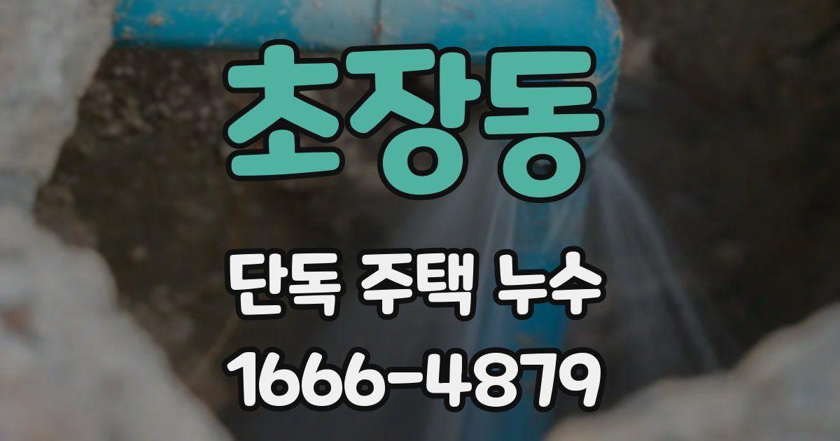 초장동 단독 주택 누수