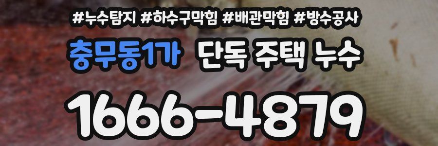 충무동1가 단독 주택 누수