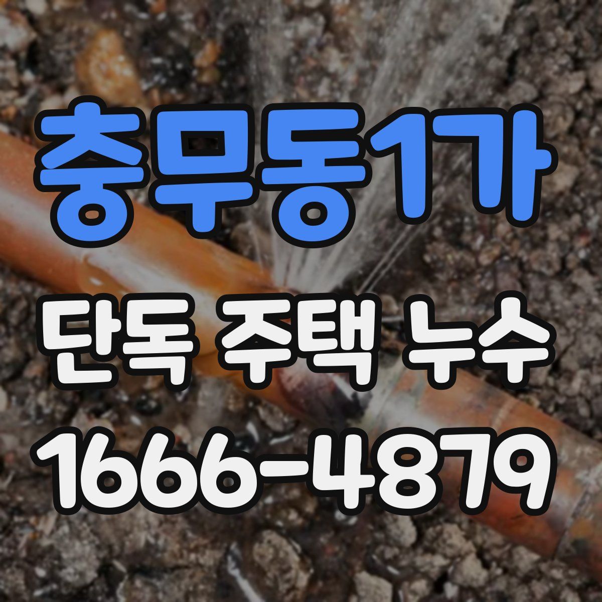 충무동1가 단독 주택 누수